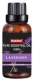 Lavender Oil 10ml